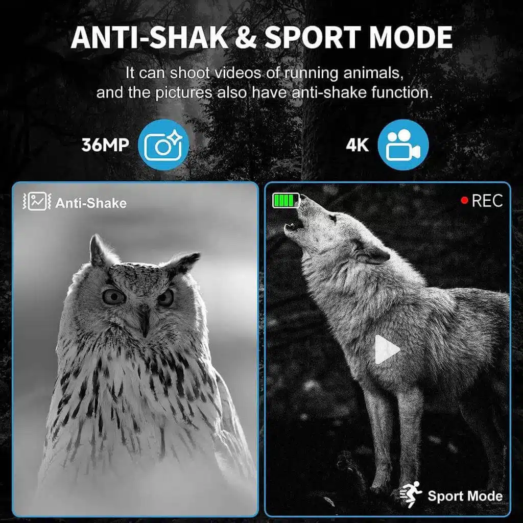 anti shak and sport mode