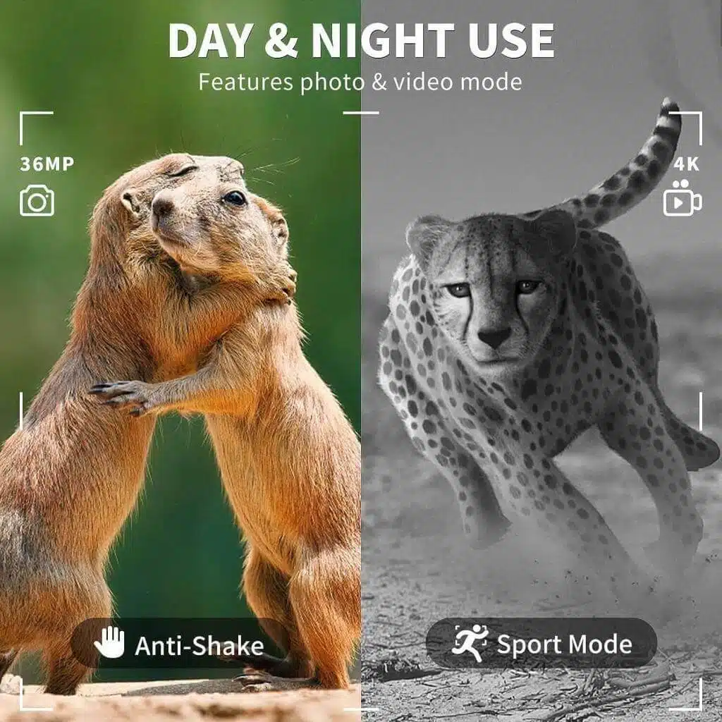 day and night video mode