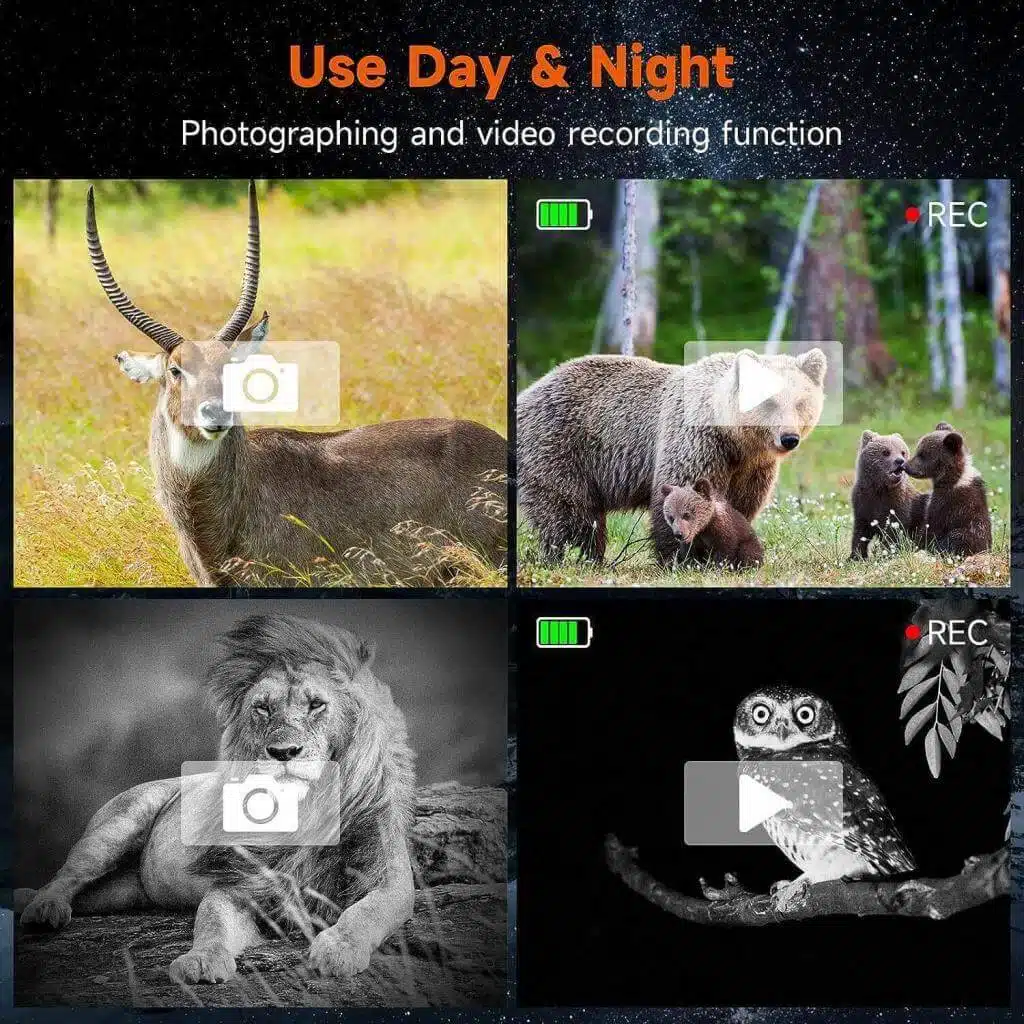 use day and night