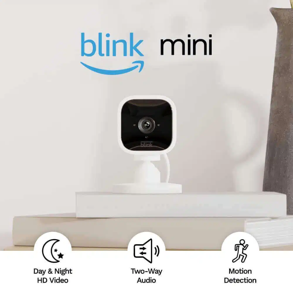 Blink Mini night vision camera