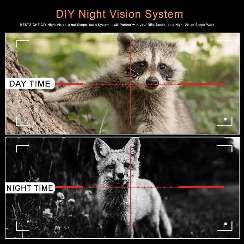 Day And Night Time View